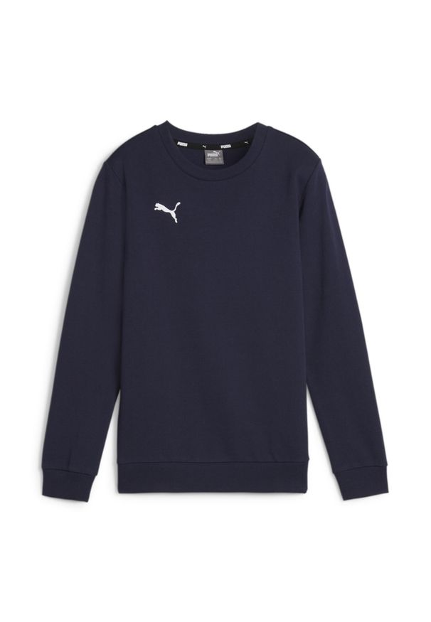 Bluza dziecięca Puma teamGOAL Casuals. Kolor: niebieski. Materiał: polar
