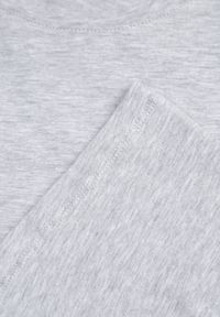 Born2be - Jasnoszary T-shirt Rheniala. Okazja: na co dzień. Kolor: szary. Materiał: materiał, bawełna. Długość rękawa: krótki rękaw. Długość: krótkie. Wzór: gładki. Sezon: lato. Styl: casual #4