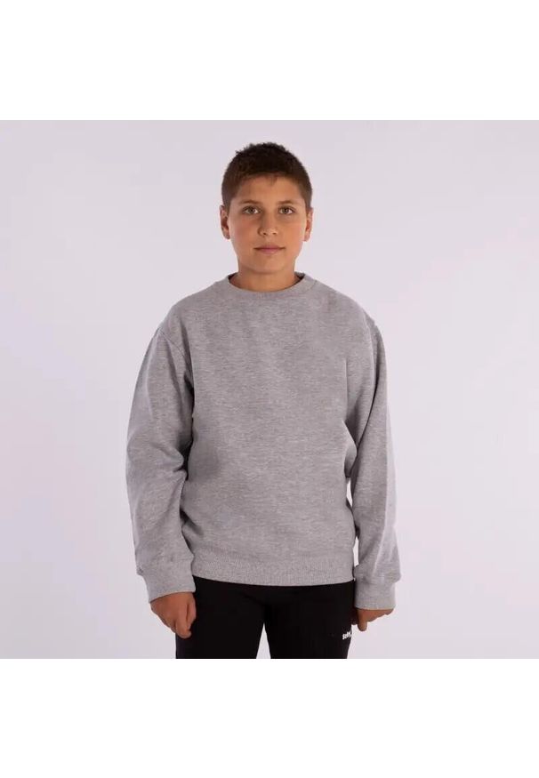 Bluza dziecięca Softee Owen. Kolor: szary