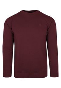 Klasyczny Sweter Męski - Rigon - Bawełna - Bordowy. Kolor: czerwony. Materiał: bawełna. Wzór: nadruk. Styl: klasyczny #1