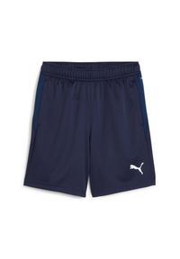 Szorty dla dzieci Puma TeamGOAL. Kolor: niebieski. Styl: sportowy #1