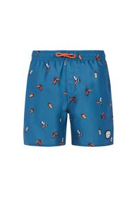 Spodenki kąpielowe dla dzieci Protest Rocker. Kolor: niebieski #1