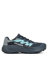 salomon - Salomon Buty do biegania Alphaglide Gore-Tex L47802500 Szary. Kolor: szary. Materiał: materiał. Technologia: Gore-Tex #1