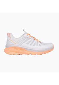 skechers - Buty damskie SKECHERS Switch Back Cascades. Kolor: szary