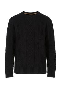 Ochnik - Czarny sweter męski. Okazja: na co dzień. Kolor: czarny. Materiał: akryl. Długość: długie. Wzór: aplikacja. Styl: casual