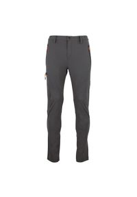 PEAK MOUNTAIN - Spodnie trekkingowe Peak Mountain Cebor. Kolor: szary. Sezon: lato. Sport: turystyka piesza #1
