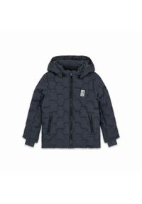 Kurtka zimowa dziecięca LEGO JIPE 706. Kolor: szary. Sezon: zima. Sport: narciarstwo #1