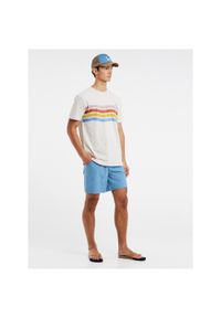 Koszulka męska Protest PRTEXMOUTH t-shirt. Kolor: biały. Sport: turystyka piesza #1