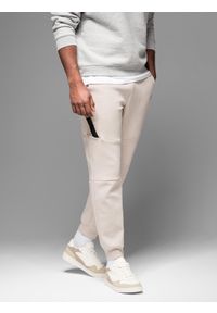 Ombre Clothing - Męskie spodnie dresowe ze ściągaczami i ozdobnym zamkiem – piaskowe V6 - Rozmiar: M. Materiał: dresówka. Styl: sportowy, elegancki