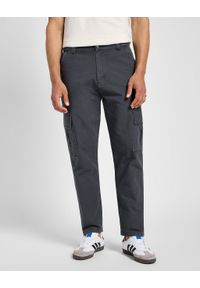 Lee - LEE MĘSKIE SPODNIE MATERIAŁOWE CARGO PANT DARK MUTED GRAY 112355783 L72K008531
