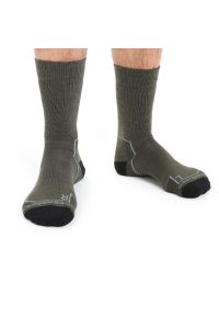 Skarpety Icebreaker Merino Hike+ Medium Crew 1051012821 - zielone. Kolor: zielony. Materiał: lycra, materiał, nylon, wełna. Wzór: aplikacja. Sport: outdoor, wspinaczka #1