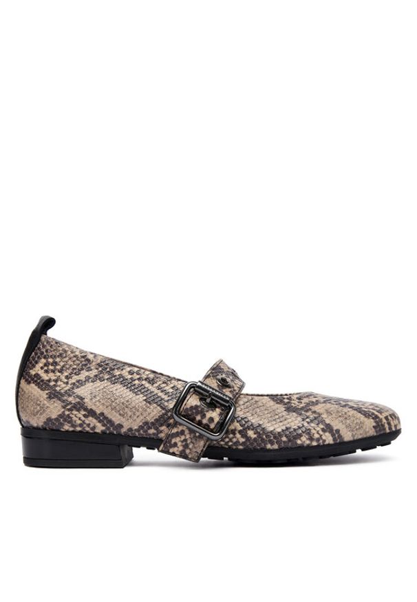 Hispanitas Półbuty HI254286 Brązowy. Kolor: brązowy. Materiał: skóra