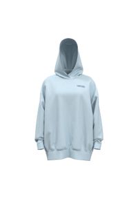 Bluza damska Under Armour Icon Ultra Fleece Hoodie. Kolor: niebieski