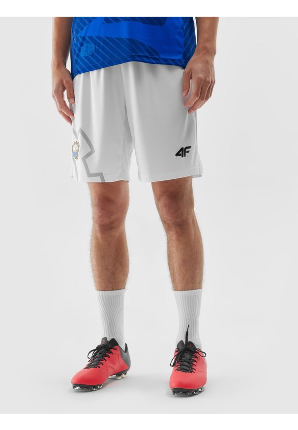 4f - 4F Spodenki klubowe męskie 4F x Stal Mielec XXL. Kolor: wielokolorowy. Materiał: dzianina. Wzór: nadruk, aplikacja. Sport: piłka nożna