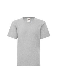 FRUIT OF THE LOOM - Koszulka Dziecięca Iconic Heather. Kolor: szary