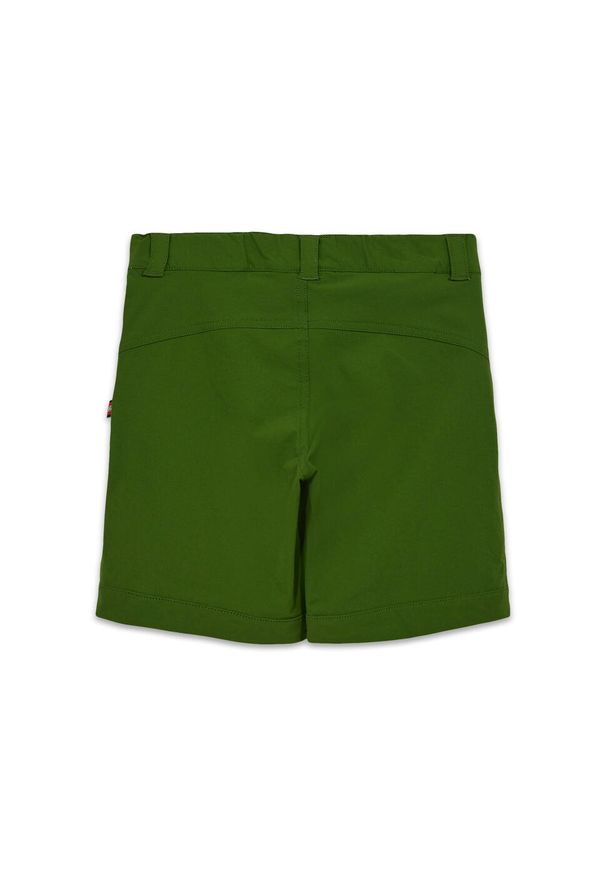 Szorty Dziecięce Techniczne Elastyczne LEGO Philo 201 Zielone. Kolor: zielony. Sezon: lato. Sport: turystyka piesza