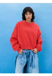 Sinsay - Bluza crewneck basic - czerwony. Kolor: czerwony #1