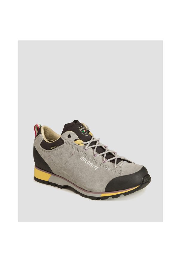 Buty trekkingowe damskie Dolomite Cinquantaquattro Hike Low Evo GTX. Kolor: szary