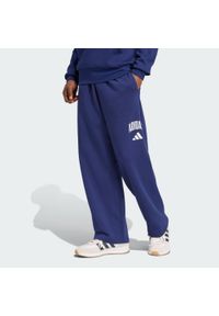 Adidas - Spodnie Collegiate. Kolor: biały, wielokolorowy, niebieski. Materiał: polar
