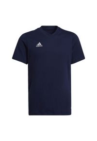 Adidas - Koszulka dla dzieci adidas Entrada 22 Tee. Kolor: niebieski. Sport: piłka nożna