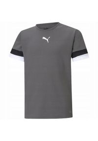 Puma - Koszulka TeamRISE Dla Dzieci. Kolor: szary