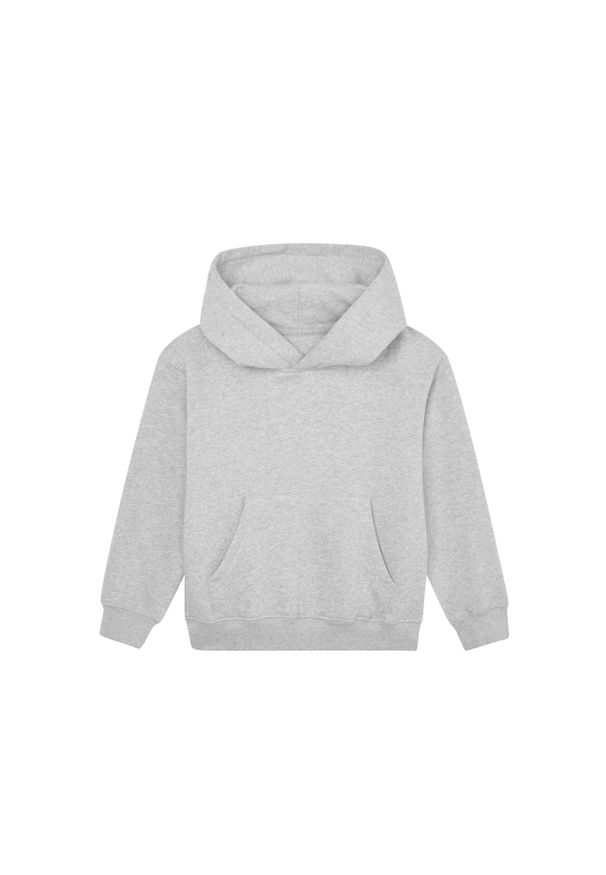 MANTIS - Bluza Z Kapturem Dla Dzieci. Typ kołnierza: kaptur. Kolor: szary