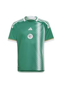 Adidas - Algeria 22 Away Jersey. Kolor: zielony, wielokolorowy, biały. Materiał: jersey