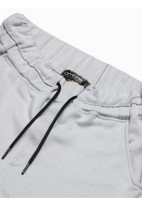 Ombre Clothing - Spodnie męskie dresowe P949 - jasnoszare - XXL. Kolor: szary. Materiał: dresówka. Styl: klasyczny #6