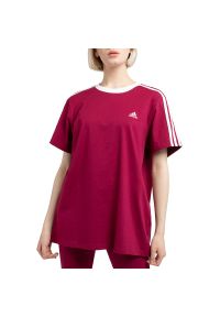 Adidas - Koszulka adidas W 3S BF T HF1867 - bordowa. Kolor: czerwony. Materiał: bawełna. Długość rękawa: krótki rękaw. Długość: krótkie. Wzór: paski #1