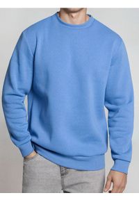 Sinsay - Bluza crewneck z domieszką bawełny - niebieski. Kolor: niebieski. Materiał: bawełna #1