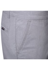 Bawełniane Męskie Krótkie Spodenki (Szorty) - Pako Jeans - Popielate. Kolor: szary. Materiał: bawełna. Długość: krótkie. Sezon: lato. Styl: klasyczny