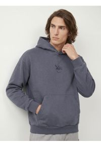 Sinsay - Bluza hoodie comfort z haftem - Inny. Wzór: haft