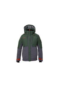 Kurtka narciarska męska Phenix Alpine Active Gtx. Kolor: zielony. Materiał: poliester. Sezon: zima. Styl: wakacyjny #1
