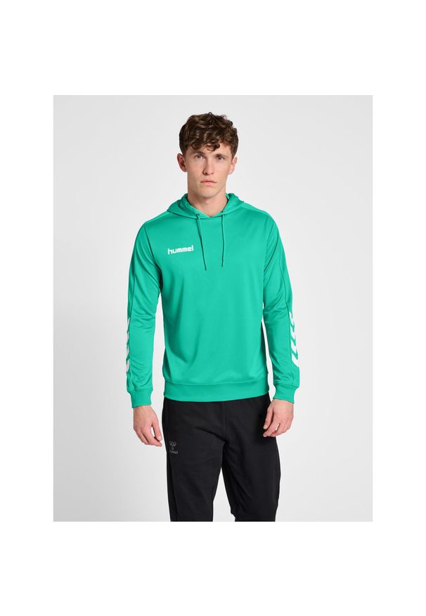 Bluza do piłki ręcznej męska Hummel hml PROMO Poly z kapturem. Typ kołnierza: kaptur. Kolor: zielony. Sport: piłka ręczna