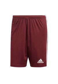 Adidas - Spodenki piłkarskie męskie adidas Squadra 21 Short. Kolor: brązowy, wielokolorowy, czerwony, biały. Sport: piłka nożna