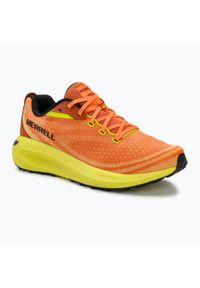 Buty do biegania męskie Merrell Morphlite. Kolor: pomarańczowy. Sport: bieganie #1