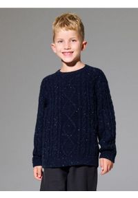 Sinsay - Sweter z dekoracyjnym splotem - granatowy. Kolor: niebieski. Wzór: ze splotem