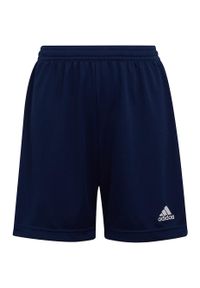 Adidas - Spodenki piłkarskie dla dzieci adidas Entrada 22. Kolor: niebieski. Styl: sportowy