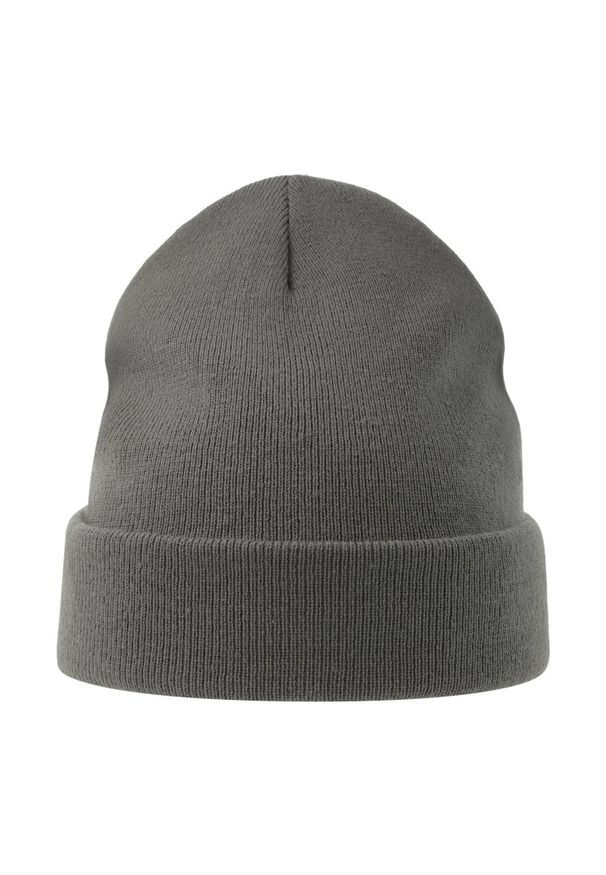 ATLANTIS - Czapka Unisex Dla Dorosłych Pier Polartech Lined Beanie. Kolor: szary. Sezon: zima
