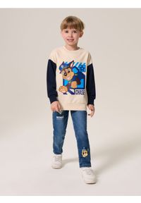 Sinsay - Jeansy Paw Patrol - niebieski. Kolor: niebieski