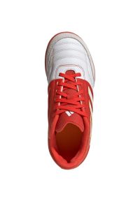 Adidas - Buty piłkarskie adidas Top Sala Competition In Jr IE1554 czerwone. Zapięcie: sznurówki. Kolor: czerwony. Materiał: materiał, syntetyk, skóra, guma. Szerokość cholewki: normalna. Sport: piłka nożna #3