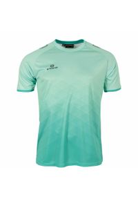 STANNO - Jersey Stanno Altius. Kolor: szary, brązowy, niebieski, zielony, wielokolorowy. Materiał: jersey. Sport: piłka nożna #1
