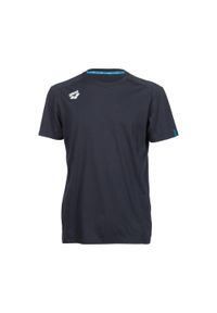 Koszulka Arena Team T-Shirt Panel. Kolor: niebieski. Materiał: materiał, skóra