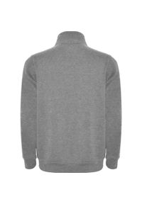 ROLY - Męska Bluza Rozpinana Aneto Quarter Zip. Kolor: szary