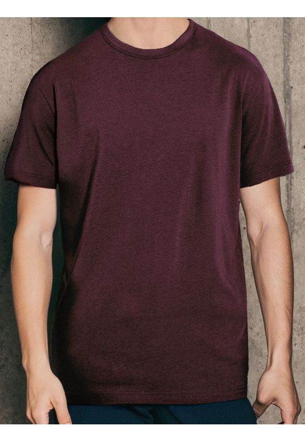 Sinsay - Koszulka basic - bordowy. Kolor: czerwony