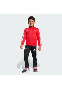 Adidas - Dres Marvel Spider-Man Tracksuit Kids. Okazja: na uczelnię. Kolor: czerwony, biały, wielokolorowy. Materiał: dresówka. Wzór: motyw z bajki. Styl: sportowy