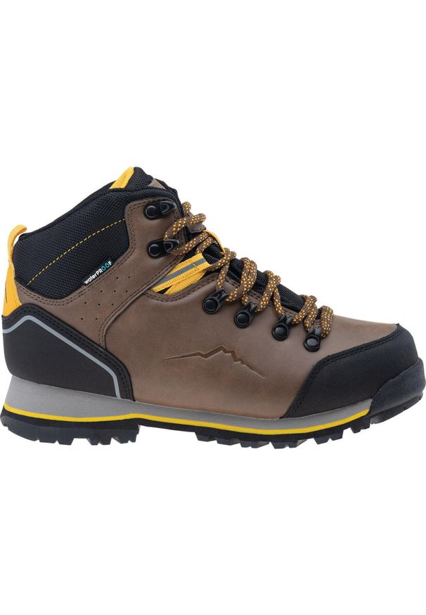 Buty trekkingowe dziecięce Elbrus Taner Mid Wp Teen. Kolor: czarny, brązowy, wielokolorowy