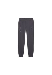 Puma Spodnie Bmw Mms Ess+ 62750906. Kolor: szary
