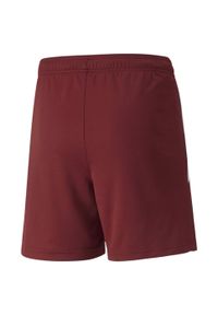 Puma - Spodenki piłkarskie dziecięce PUMA Teamliga. Kolor: czerwony, biały, wielokolorowy. Styl: sportowy