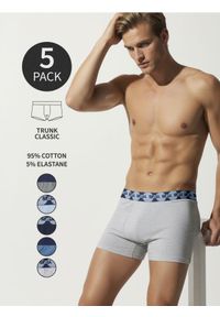 Sinsay - Bokserki Classic 5 pack - wielobarwny. Materiał: włókno, bawełna